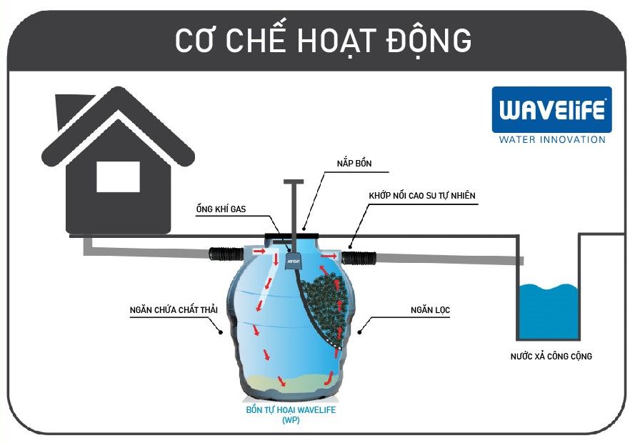 Giá bồn tự hoại nhựa trên thị trường 
